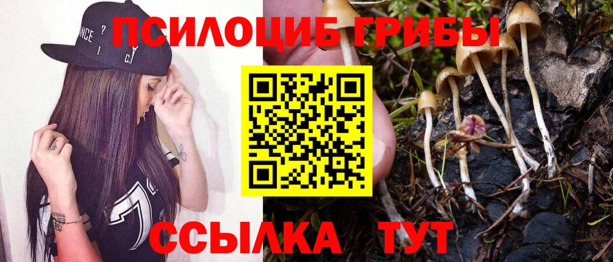 Галлюциногенные грибы Psilocybine cubensis  Вход с VPN  Гагарин  Галлюциногенные грибы прущие грибы 